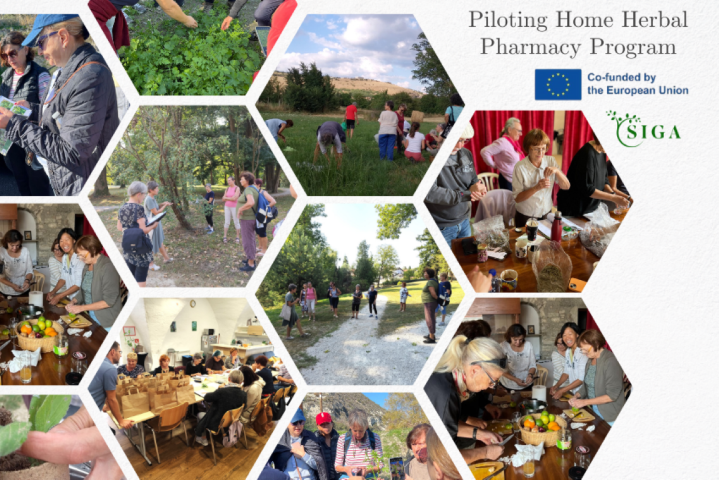 IO1 – HOME HERBAL PHARMACY CURRICULUM